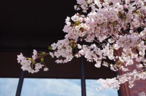 グランピング札幌で楽しむおすすめのアウトドア体験は？