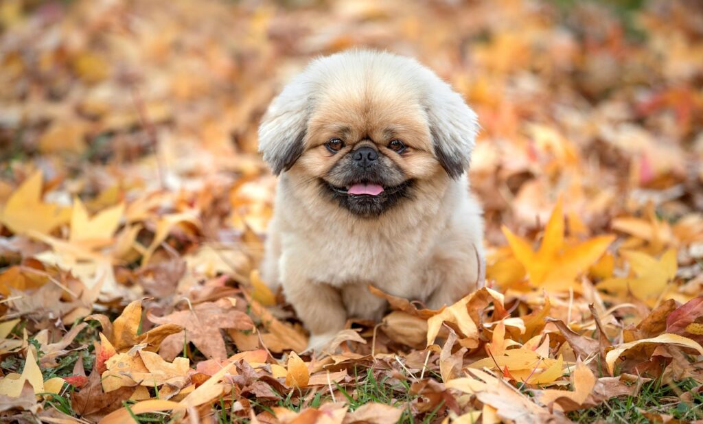 グランピングでカップルが楽しむ夜の過ごし方は？