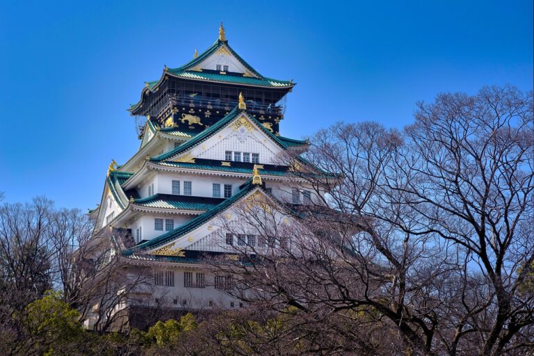関西グランピングでカップルにぴったりの楽しみ方は？