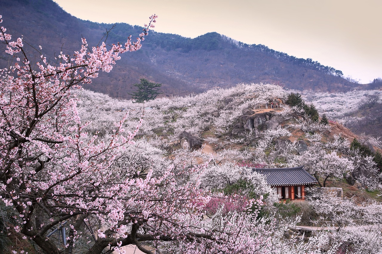 彼女に旅行をサプライズプレゼントする方法は？