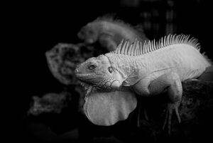 カップルにおすすめの宿でレイトチェックアウトはある？