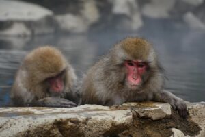 露天風呂と寝室が同フロアの宿は本当に快適？
