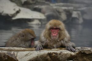 露天風呂付き客室に洗い場は室内にあるか？